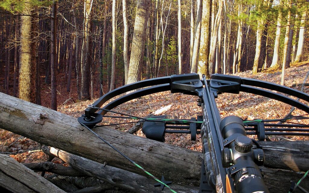 A scoped crossbow positioned behind a fallen tree trunk in a forest, aimed forward into dense, leafless woods with sunlight filtering through the trees.